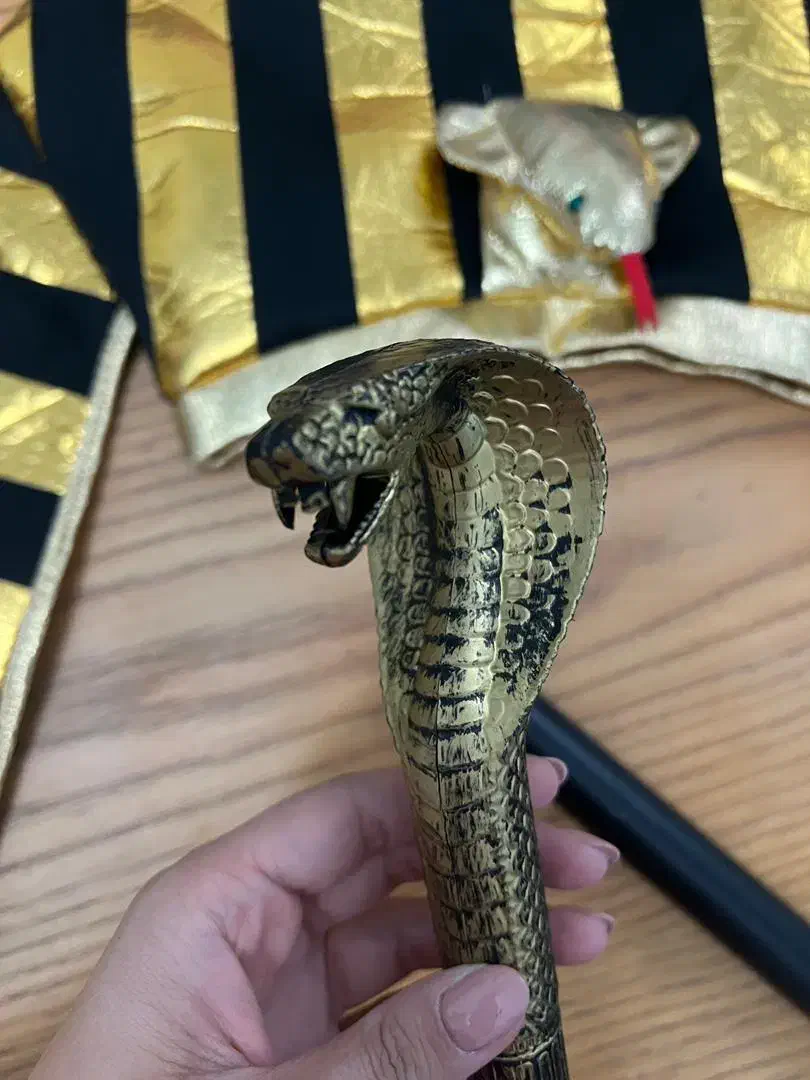 تم هالوین|اسباببازی|تهران, تهرانسر شرقی|دیوار