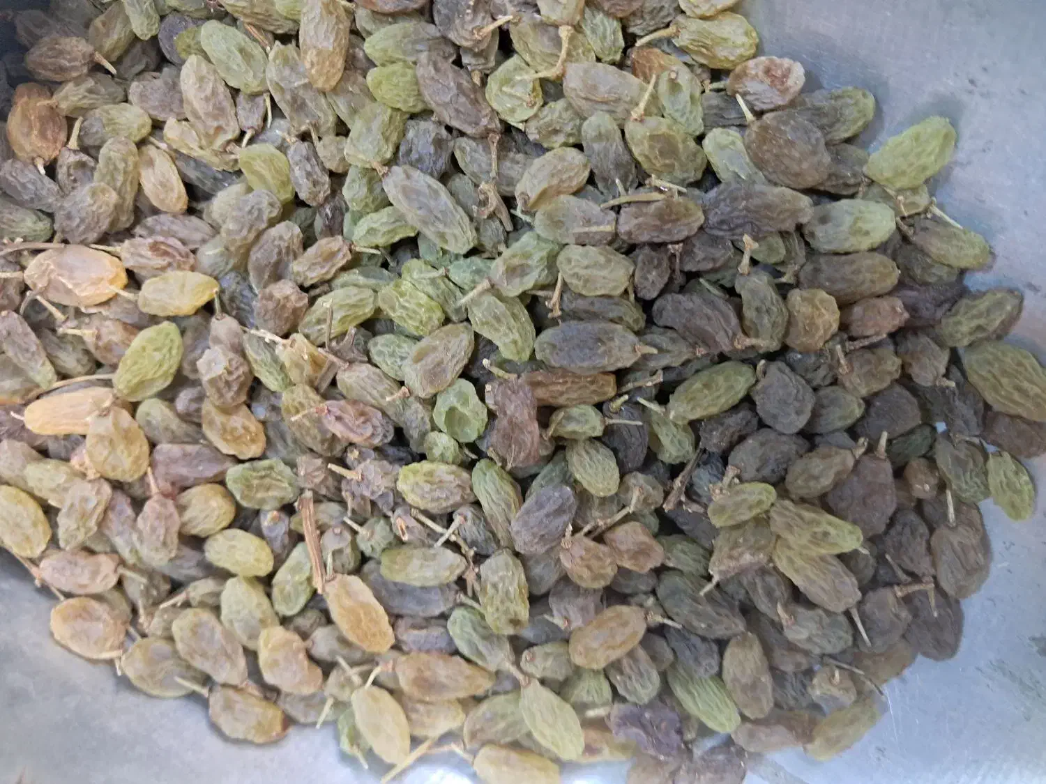 کلوچه و کشمش|خوردنی و آشامیدنی|ملایر, |دیوار