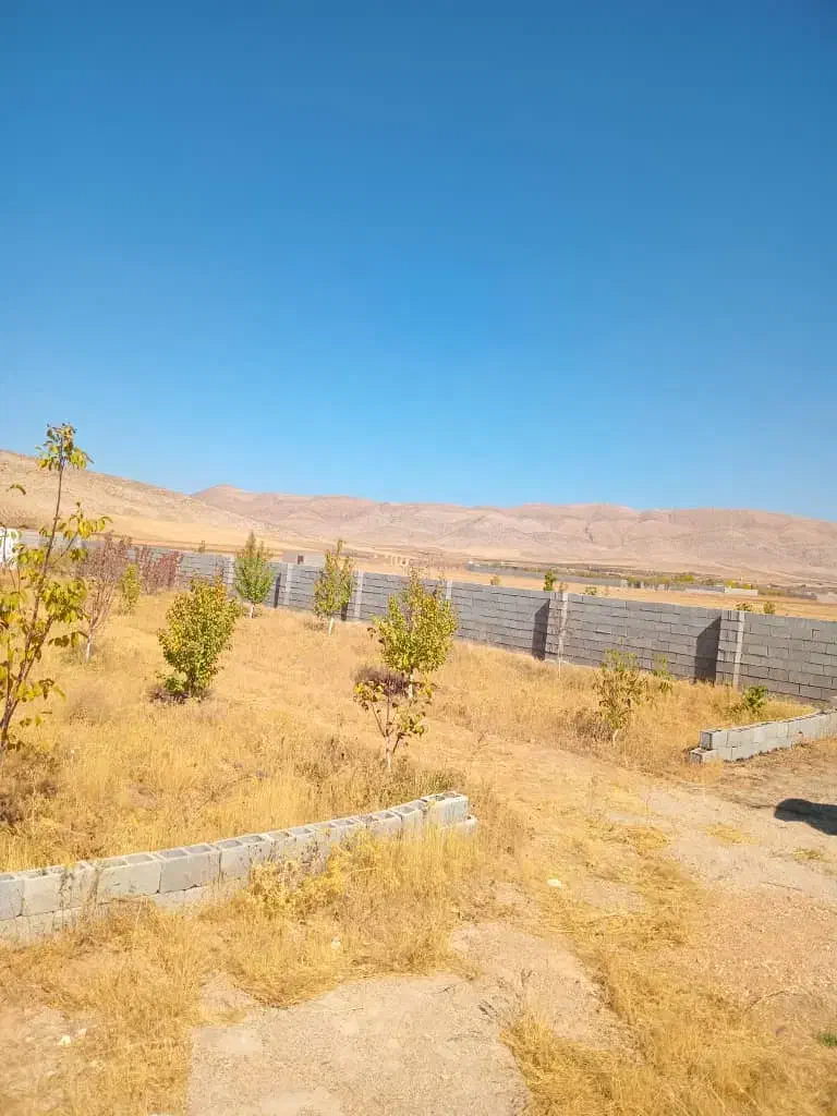 باغ ۱۱۰۰ متری با ۵۰ عدد درخت|فروش زمین و ملک کلنگی|شیراز, کودیان|دیوار