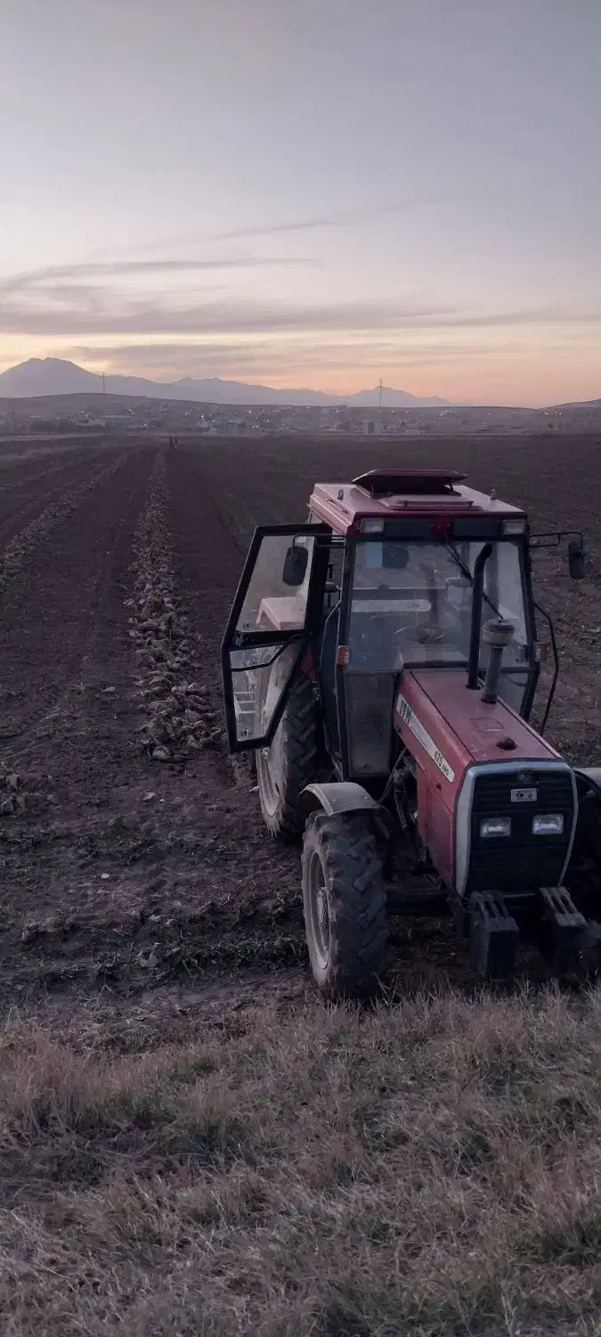 برداشت چغندر|خدمات باغبانی و درختکاری|بروجرد, |دیوار