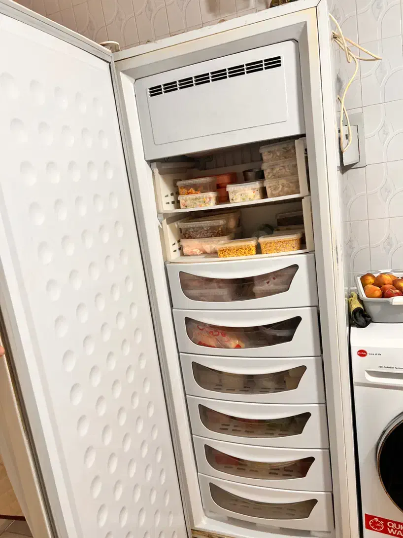 یخچال فریزر دوقلو الکترو استیل|یخچال و فریزر|شیراز, غدیر جنوبی|دیوار