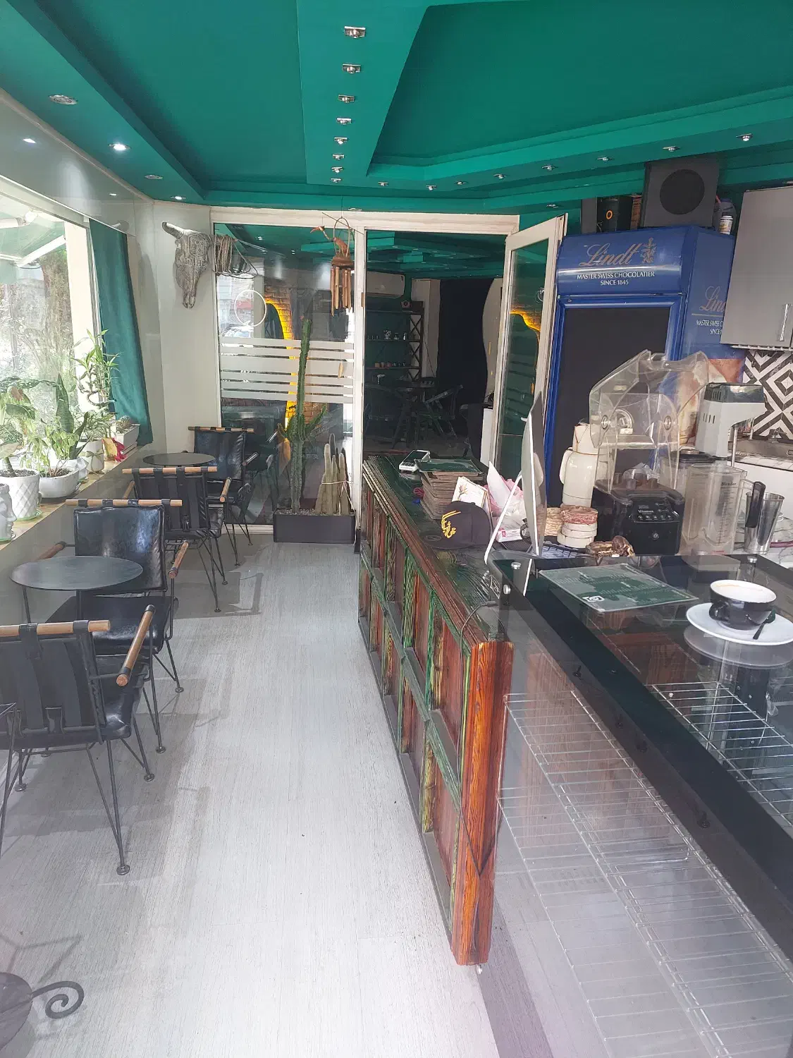 گلسار.سمیه خیابان 130واگذاری کافه|اجارهٔ مغازه و غرفه|رشت, کاکتوس|دیوار