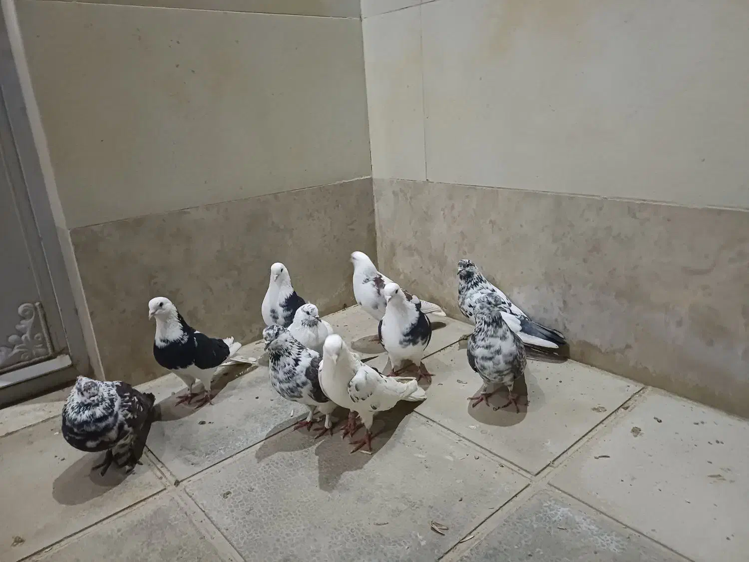 ساعت سنگین|ساعت|نورآباد, |دیوار