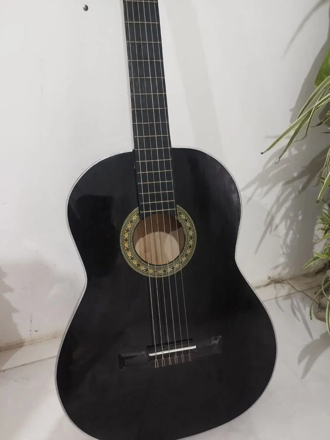 گیتار کلاسیک|گیتار، بیس، امپلیفایر|تربت‌حیدریه, شهرک ولیعصر|دیوار