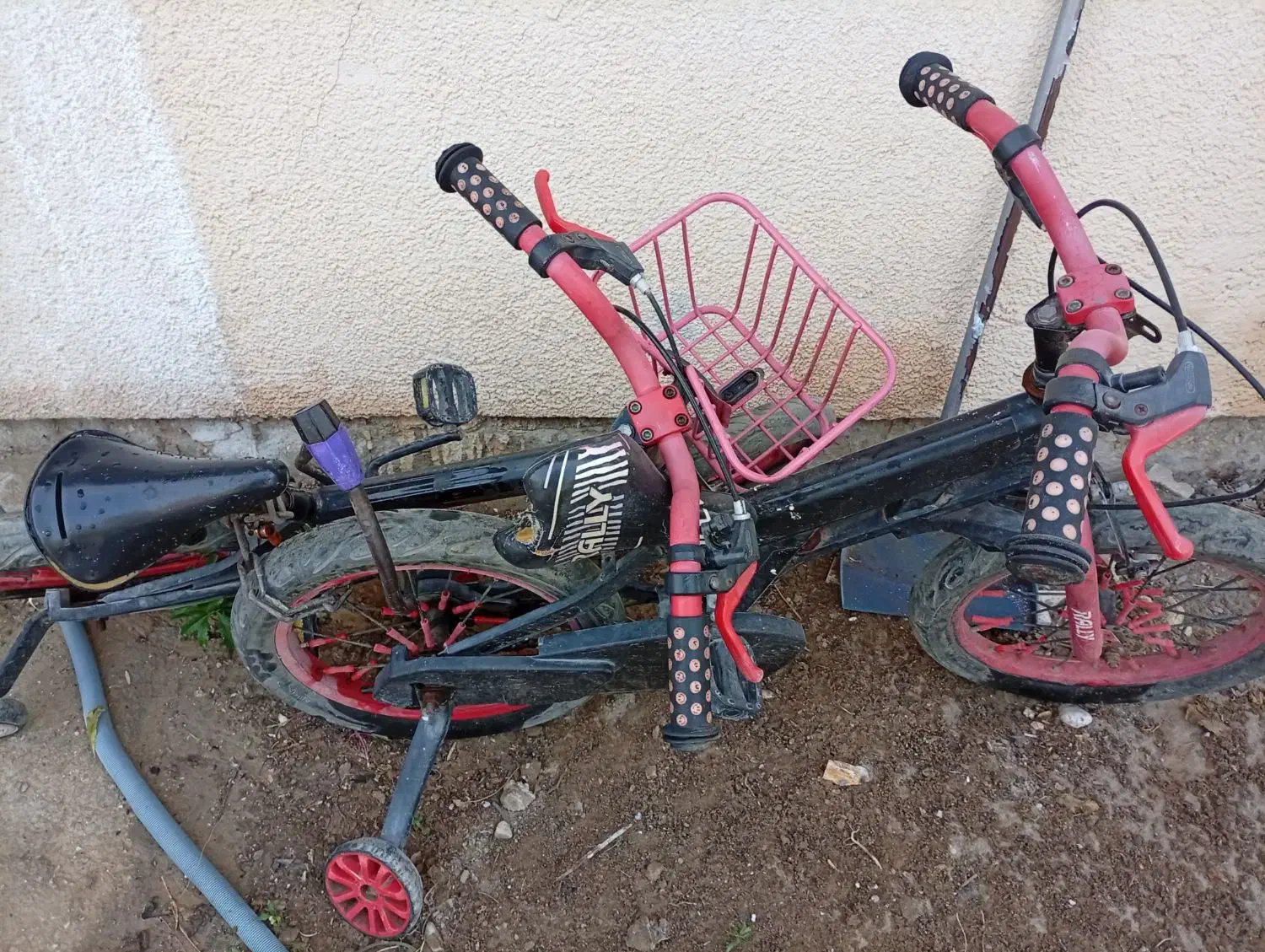 دوچرخه|دوچرخه، اسکیت، اسکوتر|بوشهر, |دیوار