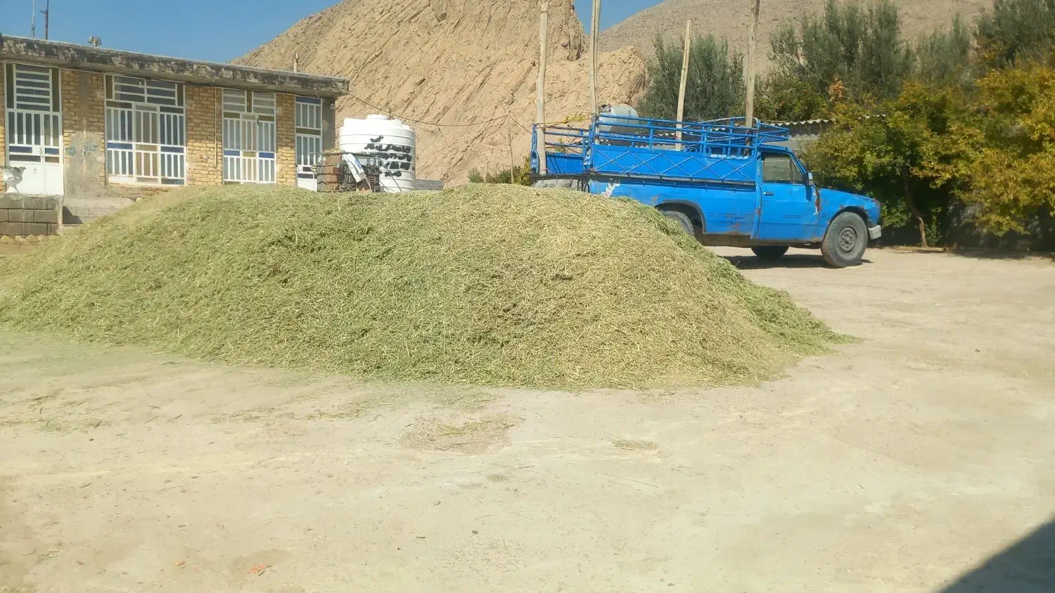 خرید فروش پرس یونجه و یونجه کوفته|عمدهفروشی|بانش, |دیوار