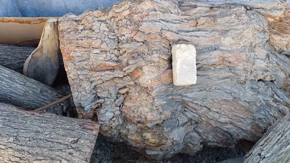 چوب شاتوت|عمدهفروشی|بجنورد, |دیوار