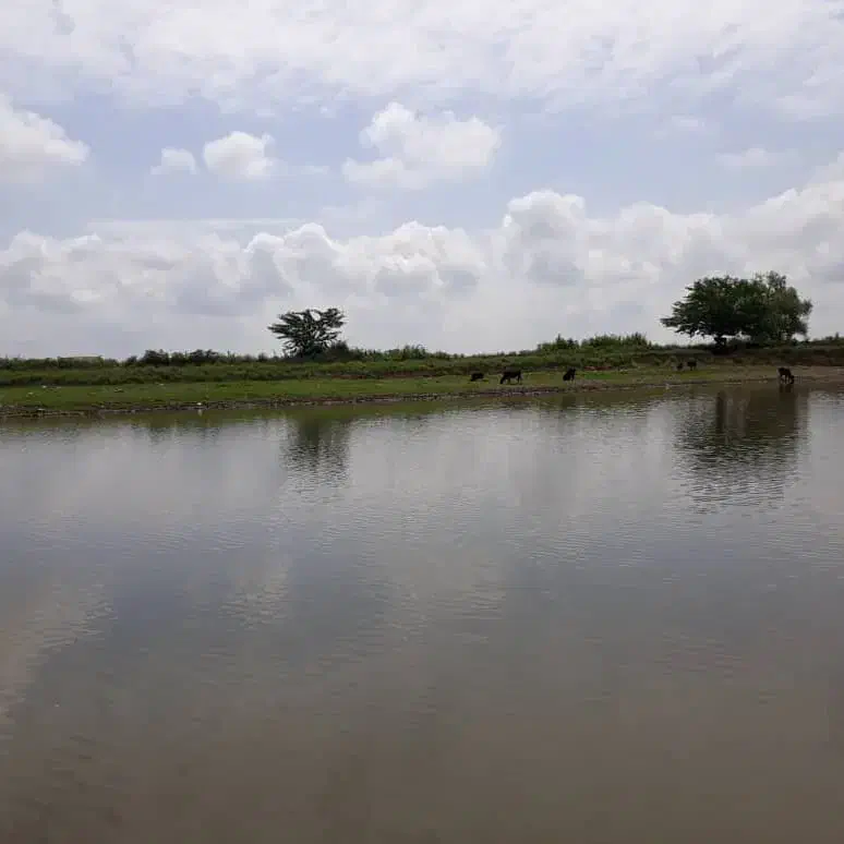 قـایق ســواری با قایــق Vip|تور و چارتر|بندر انزلی, مصلی|دیوار