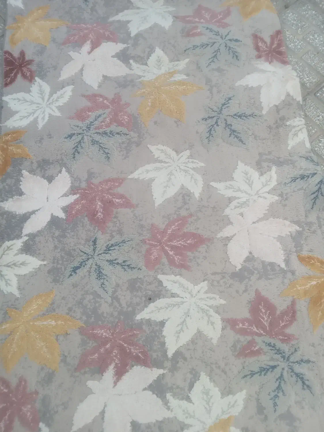 موکت نقش دار|موکت|سبزوار, شرق کال عیدگاه|دیوار