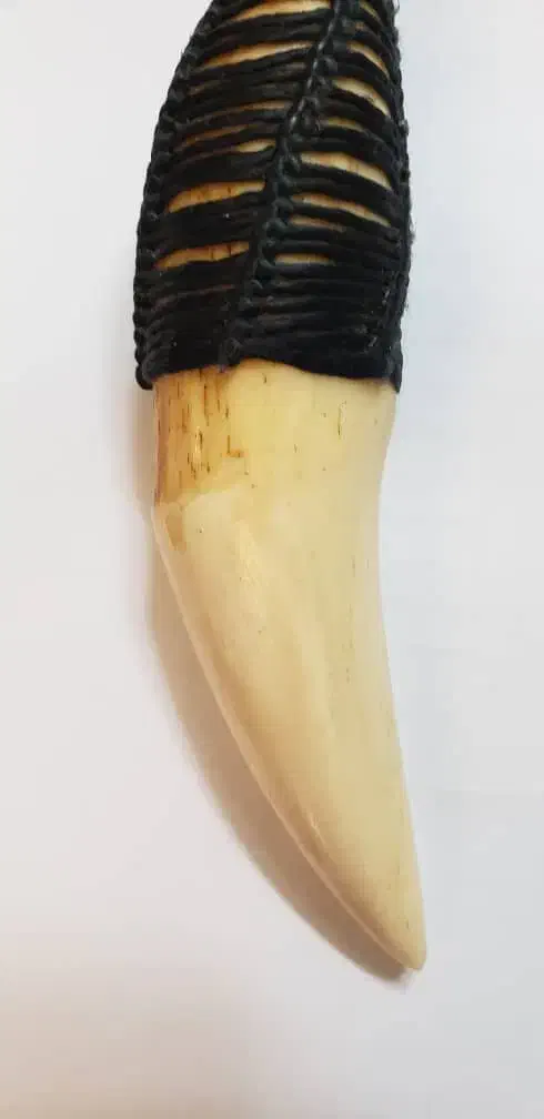 کلکسیونی|کلکسیون اشیاء عتیقه|تهران, مینای جنوبی|دیوار