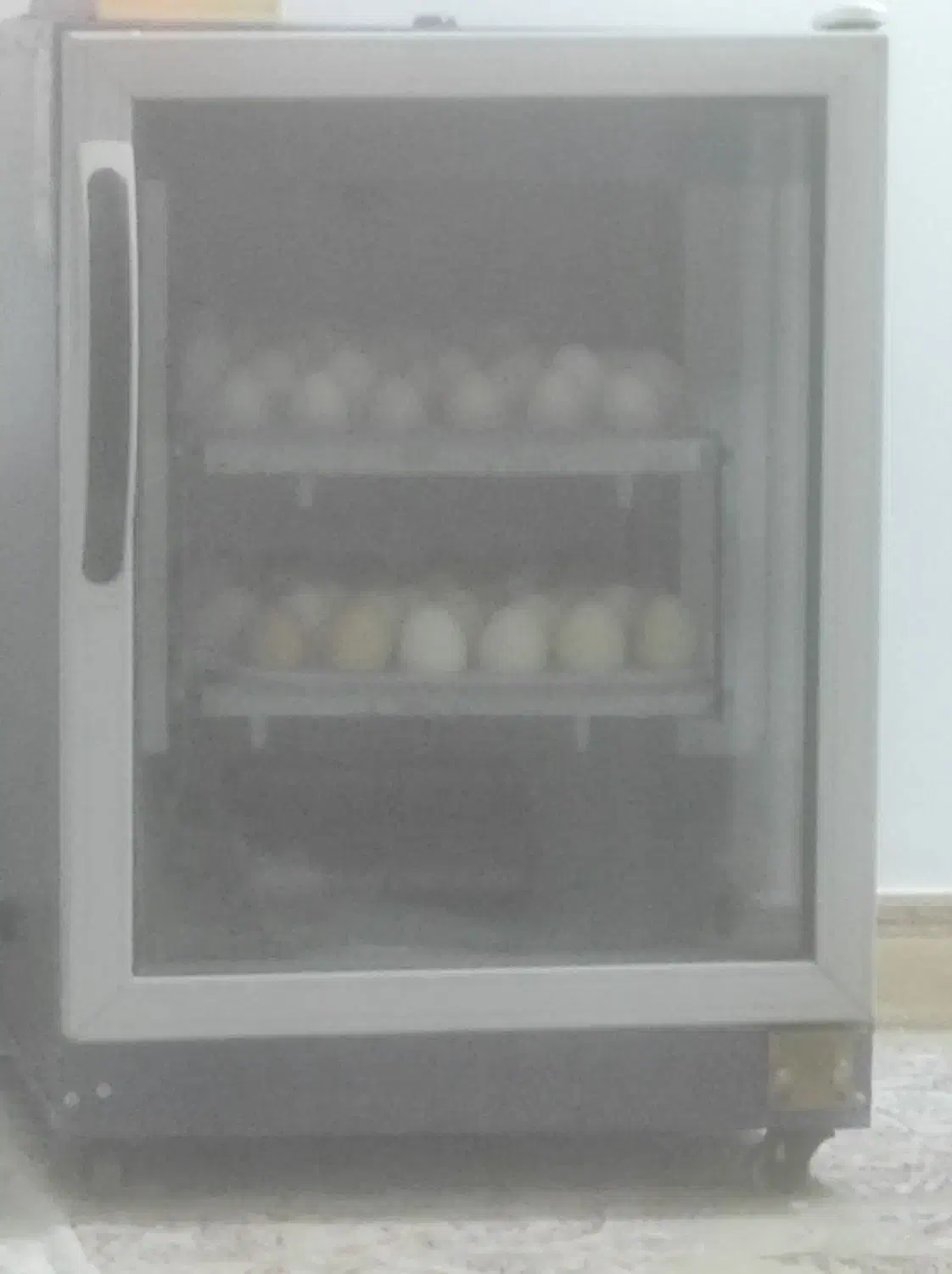 دستگاه جوجه کشی|لوازم جانبی حیوانات|آستانه اشرفیه, |دیوار