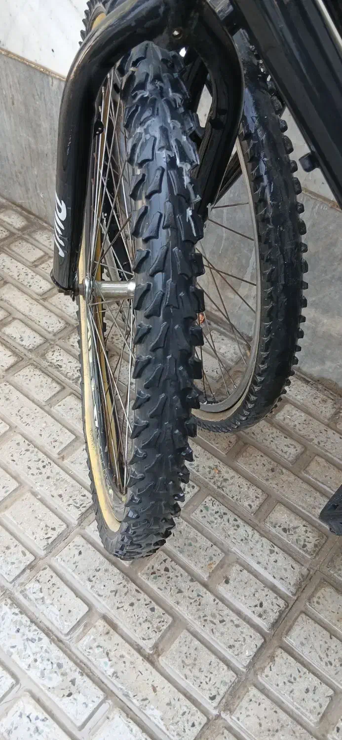 دوعدوچرخه فروشی|دوچرخه، اسکیت، اسکوتر|قدس, شهرقدس|دیوار