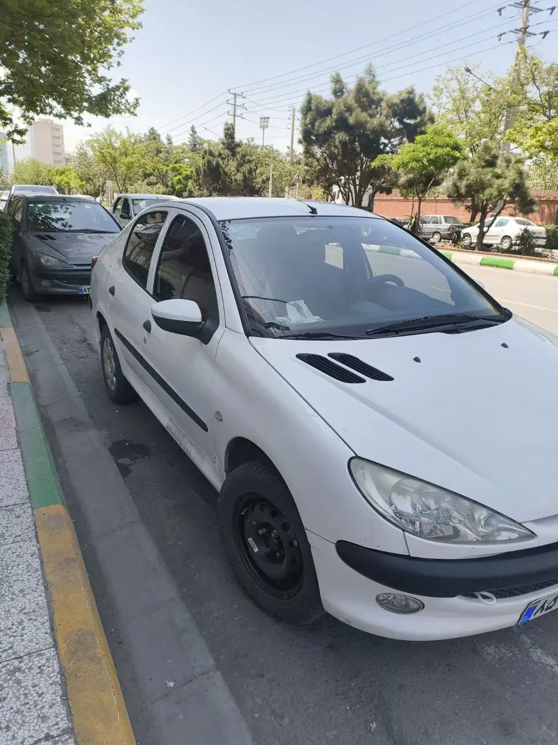 206 sd v8 tu5|خودرو سواری و وانت|مشهد, هنرستان|دیوار