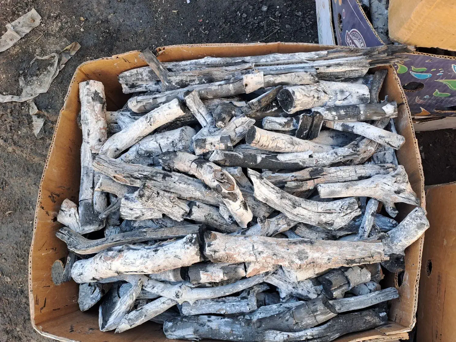 زغال پسته|عمده‌فروشی|تبریز, |دیوار