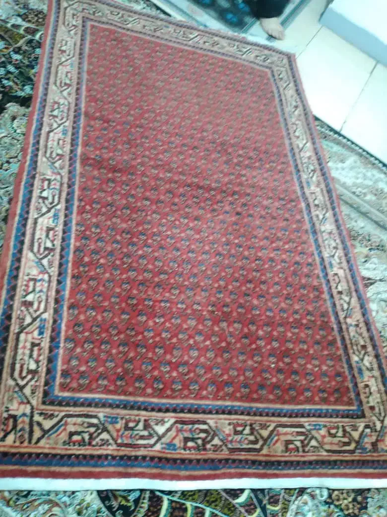 فرش|فرش|کرج, گلشهر|دیوار