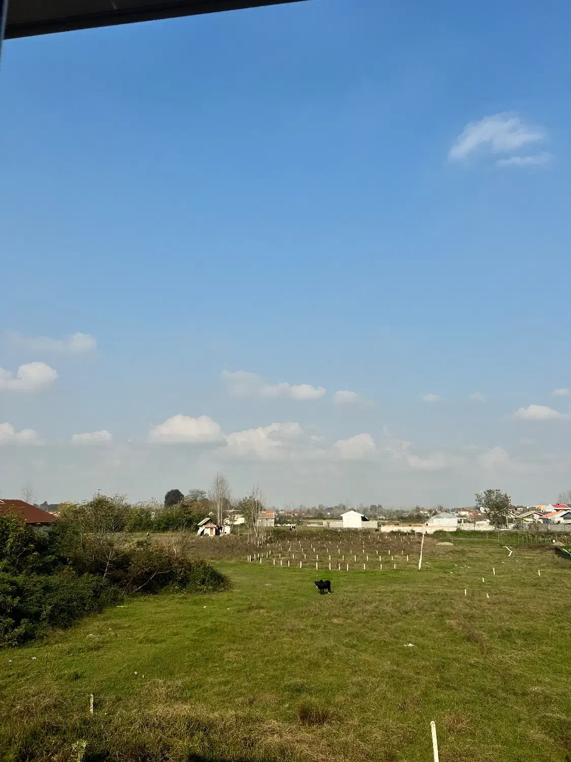 فروش آپارتمان رشت، سنگر|فروش خانه و ویلا|سنگر, |دیوار