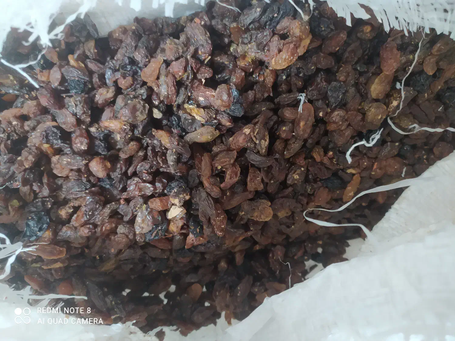 کشمش آفتابی درجه یک|عمده‌فروشی|دلیجان, |دیوار