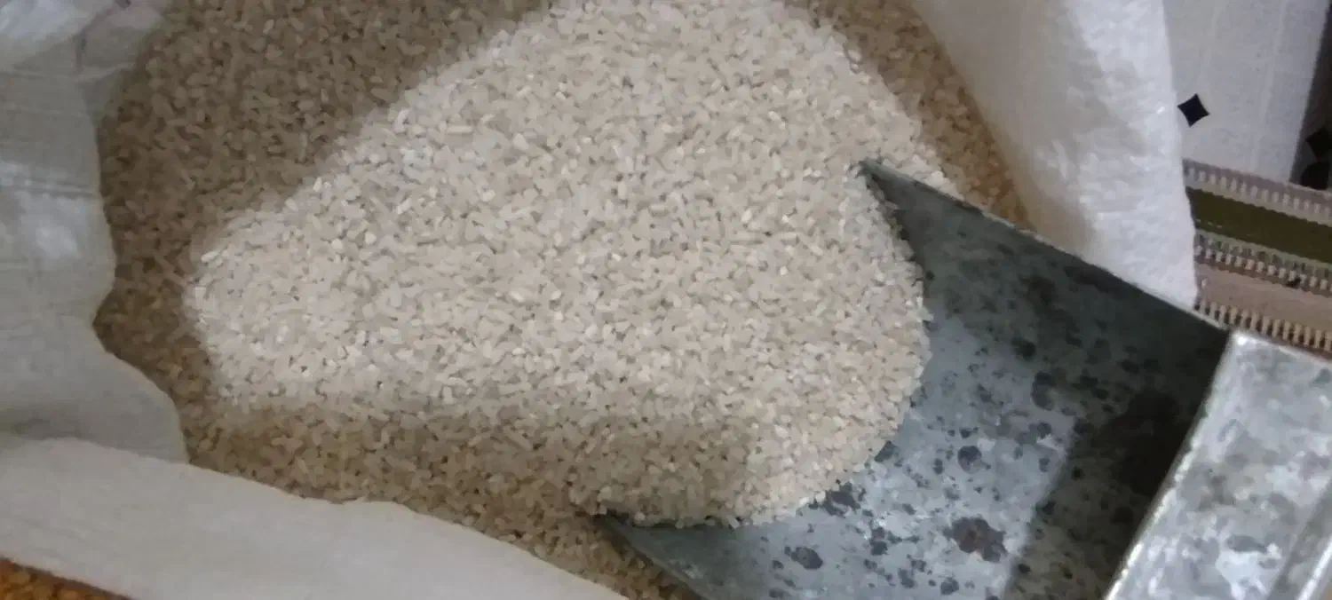 برنج نیم دانه ، لاشه،بلند دانه ایرانی هاشمی|خوردنی و آشامیدنی|مشگین شهر, |دیوار