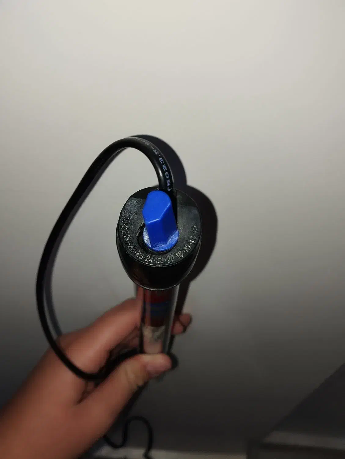 بخاری ماهی|ماهی|تربت‌حیدریه, بهزیستی|دیوار