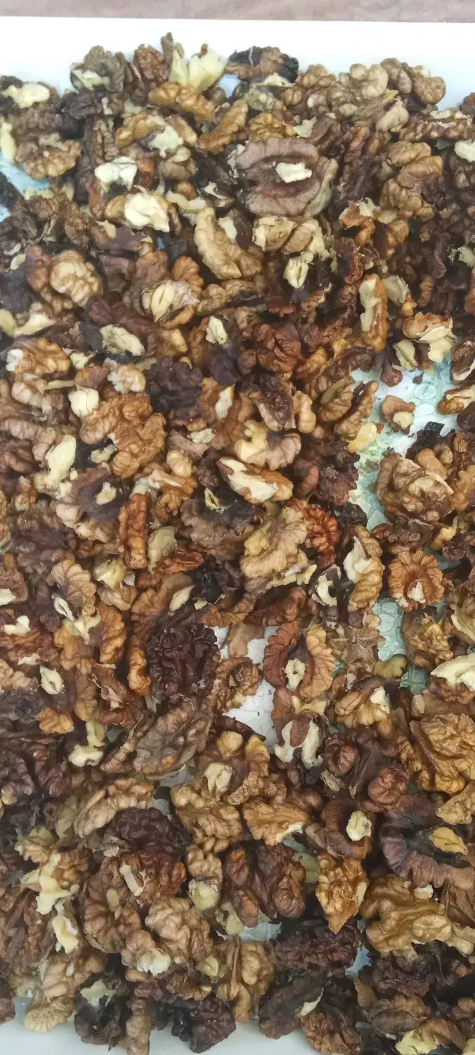 مغز گردو سفید و فستجانی|خوردنی و آشامیدنی|پاوه, |دیوار