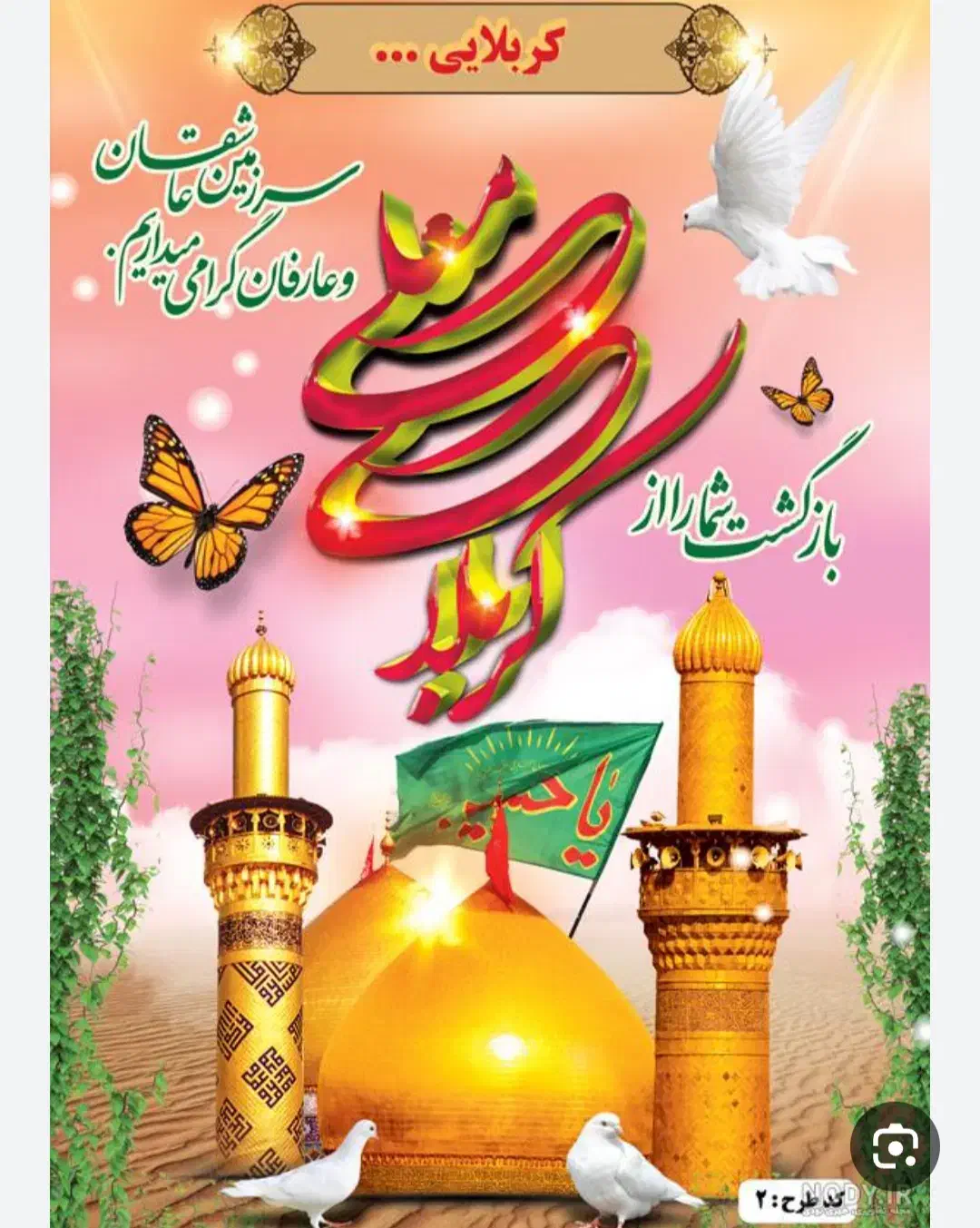 کربلا|تور و چارتر|برازجان, |دیوار