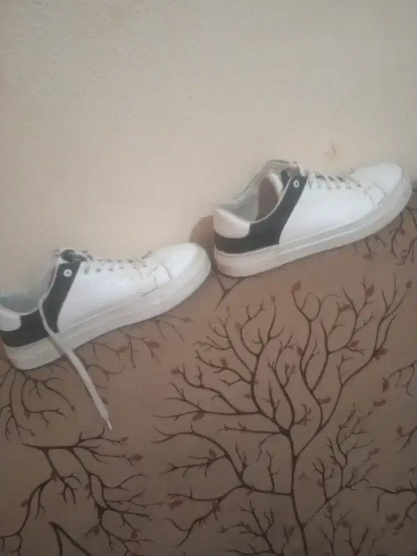 کفش سایز 43|کیف، کفش، کمربند|شاهین‌شهر, فدک|دیوار