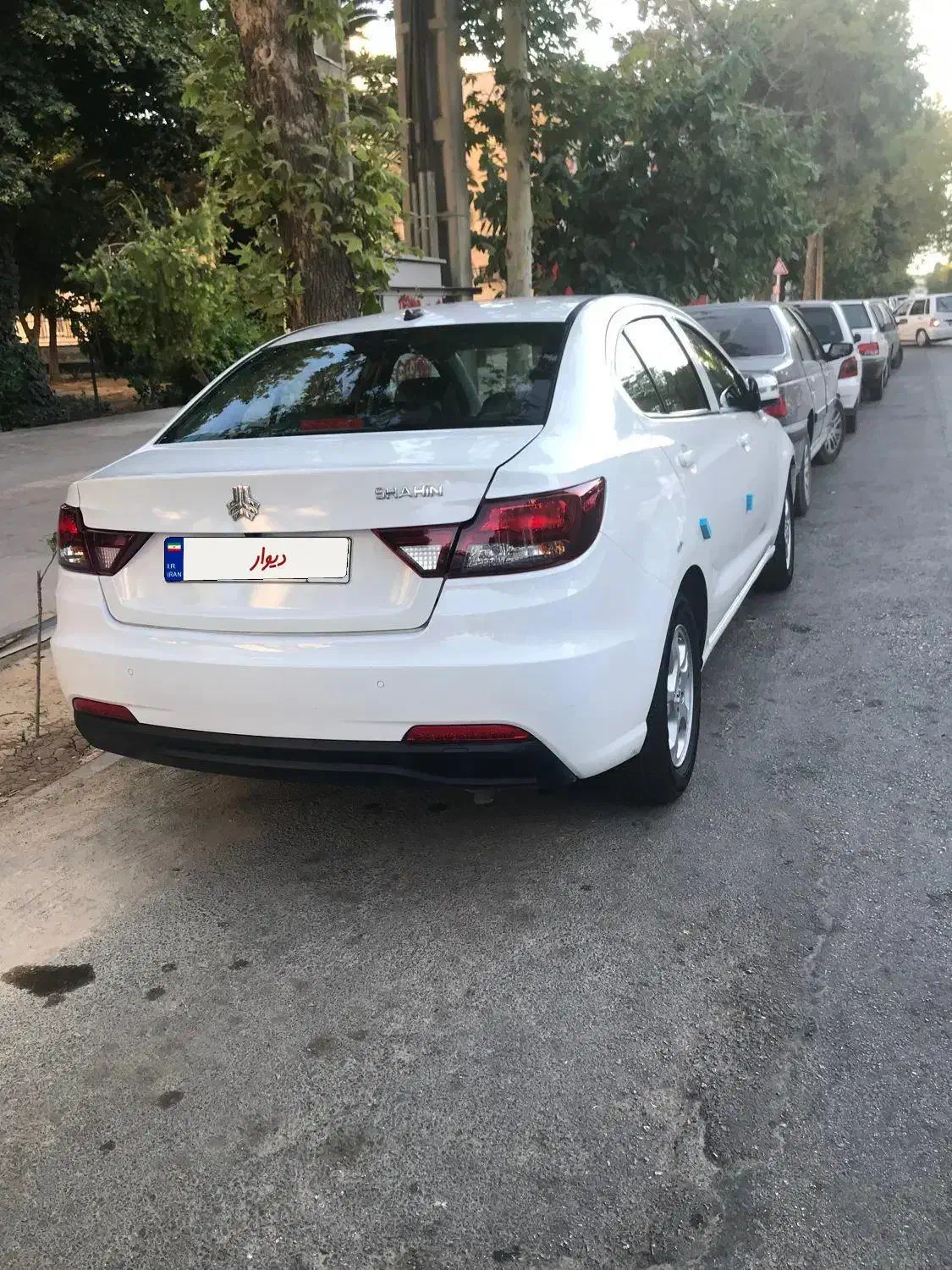 شاهین ۱۴۰۰|خودرو سواری و وانت|شیراز, عفیف‌آباد|دیوار