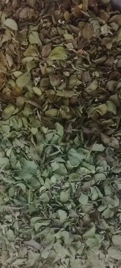 آویشن شیراز بسیار تمیز بدون ناخالصی|خوردنی و آشامیدنی|شیراز, باهنر|دیوار