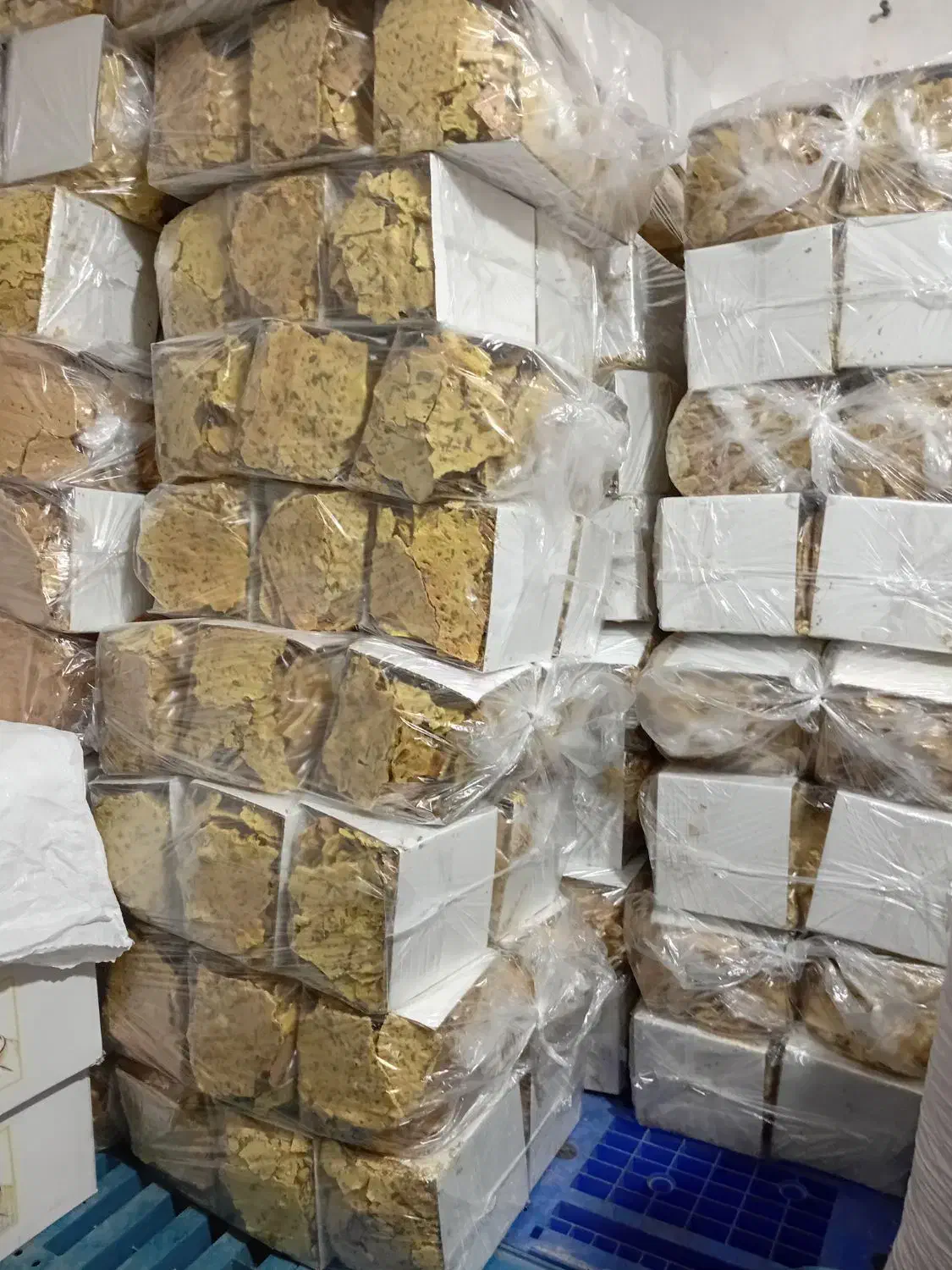 نان خشک یزد|خوردنی و آشامیدنی|تهران, دولاب|دیوار