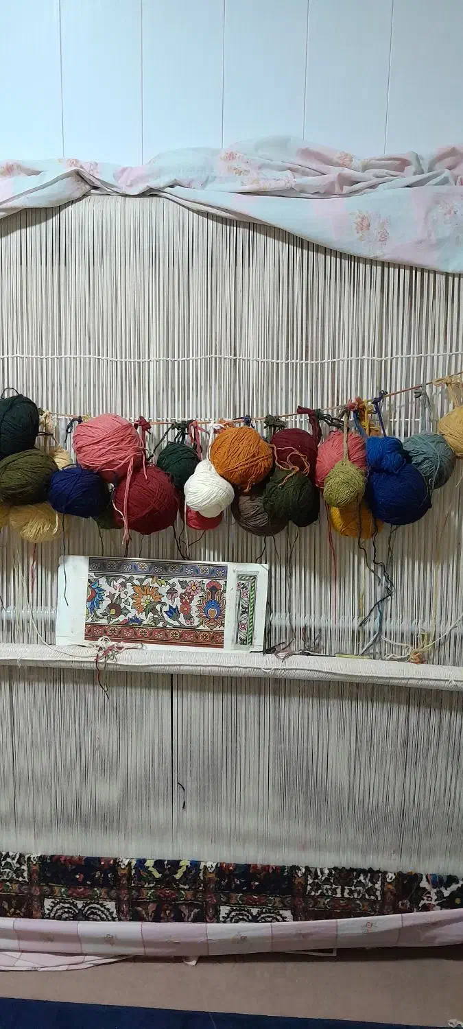 قالی دستبافت|فرش|شهرکرد, |دیوار