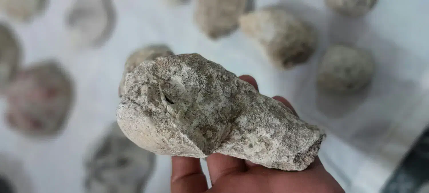 فوسیل|کلکسیون اشیاء عتیقه|زنجان, |دیوار