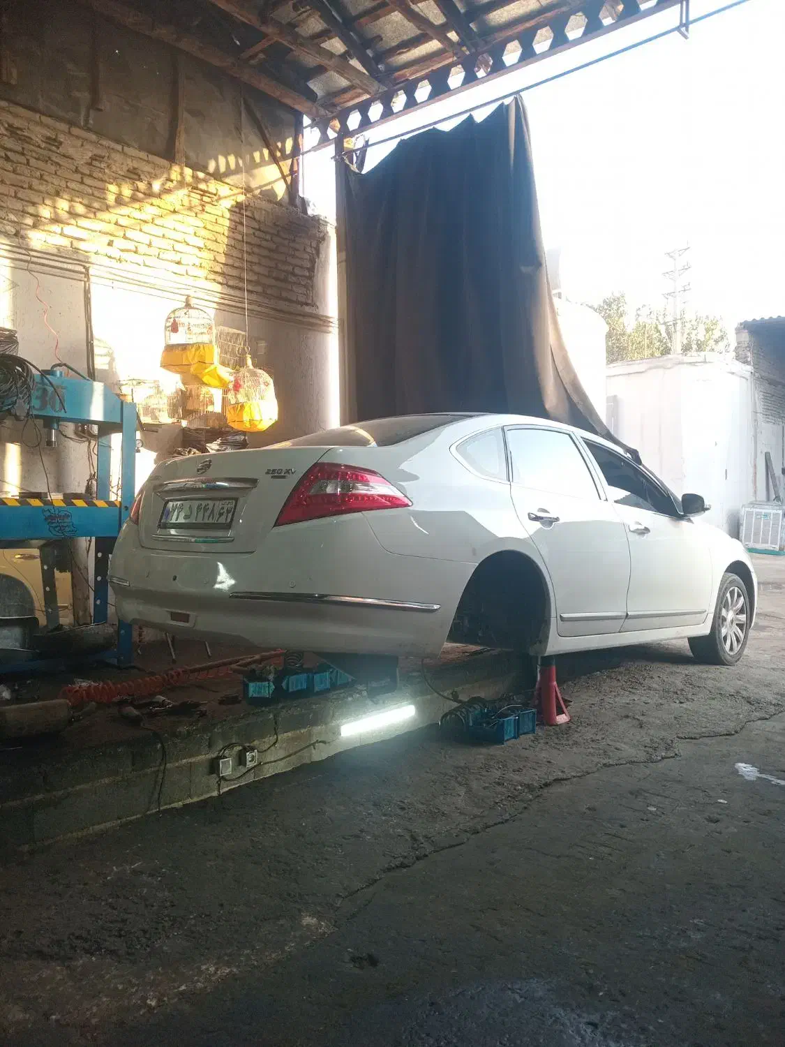 جلوبندی هایما S7.دیگنیتی فیدلیتی   فوتون تونلند|خدمات موتور و ماشین|شیراز, بالا کفت|دیوار