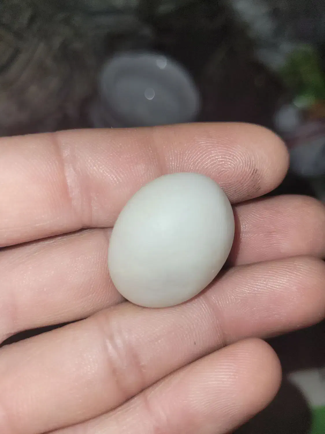 سنگ اوپال|کلکسیون اشیاء عتیقه|اسفراین, |دیوار