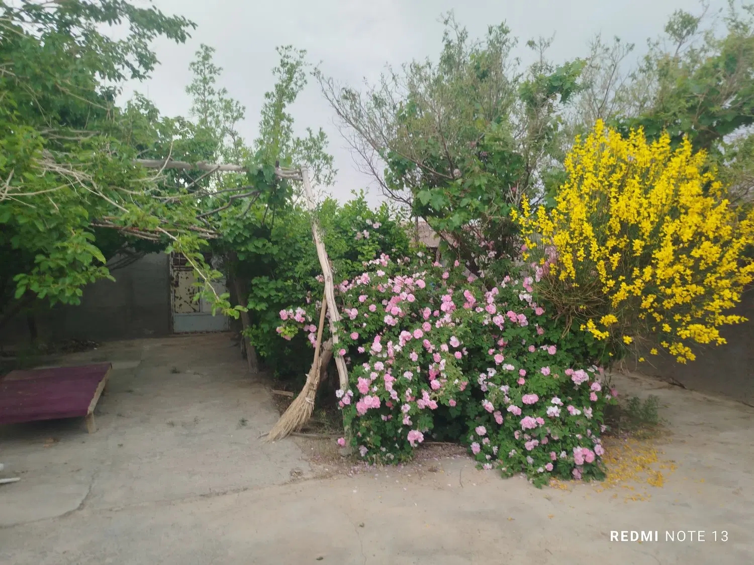 تصویر 3