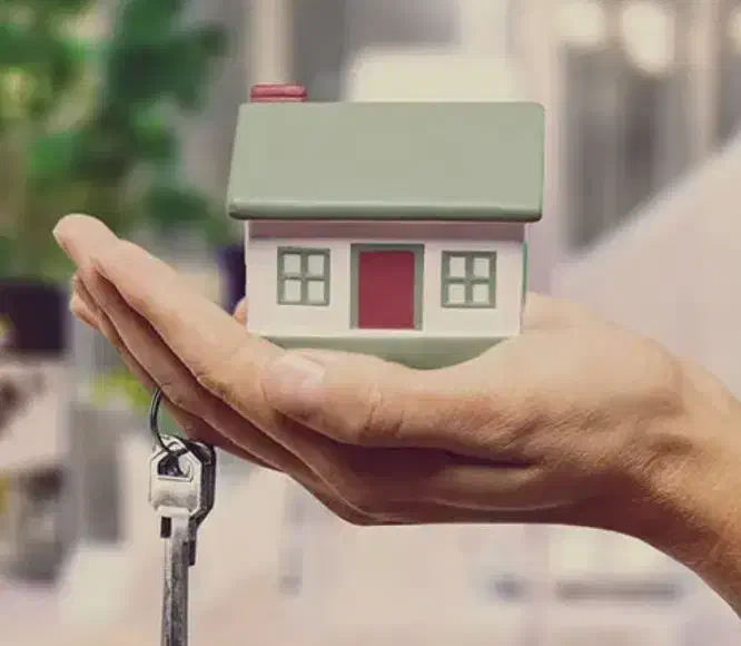 نیاز به هم خانه|اجارهٔ آپارتمان|یزد, |دیوار