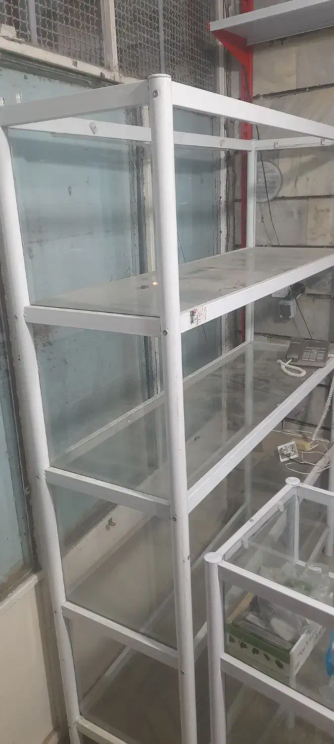 قفسه|فروشگاه و مغازه|دلبران, |دیوار