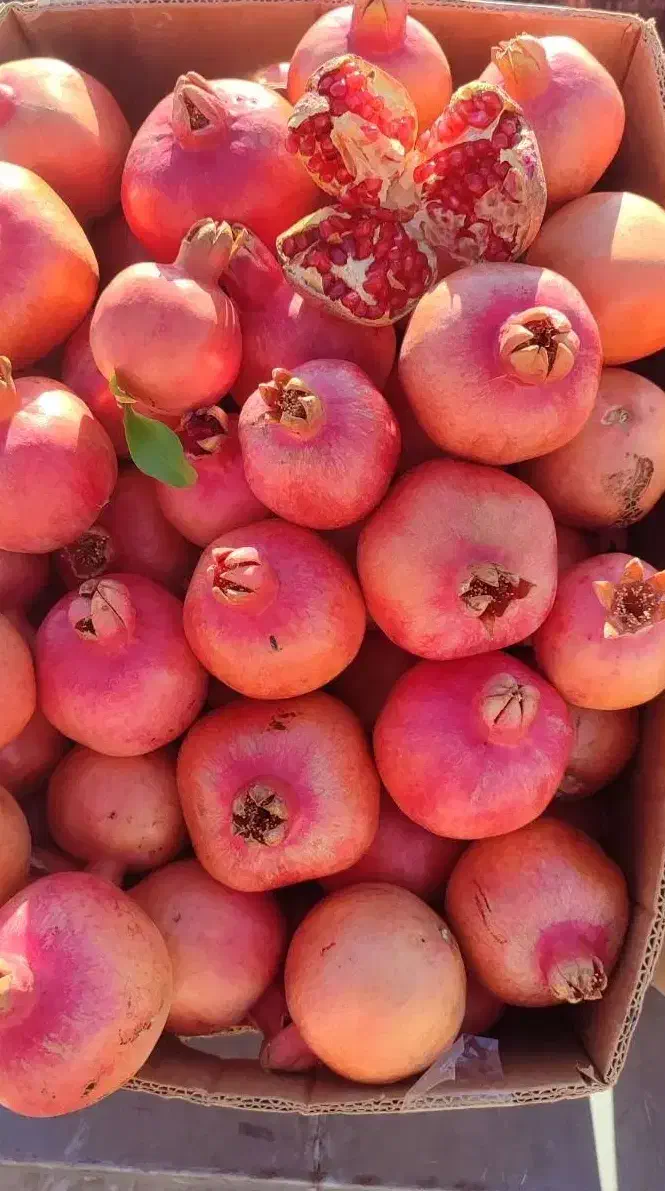 انار درجه ۱ کوهمره سرخی|خوردنی و آشامیدنی|شیراز, شهرک والفجر|دیوار