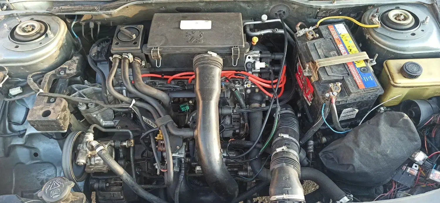 پژو واقعا تمیز|خودرو سواری و وانت|فردیس, قریشی|دیوار