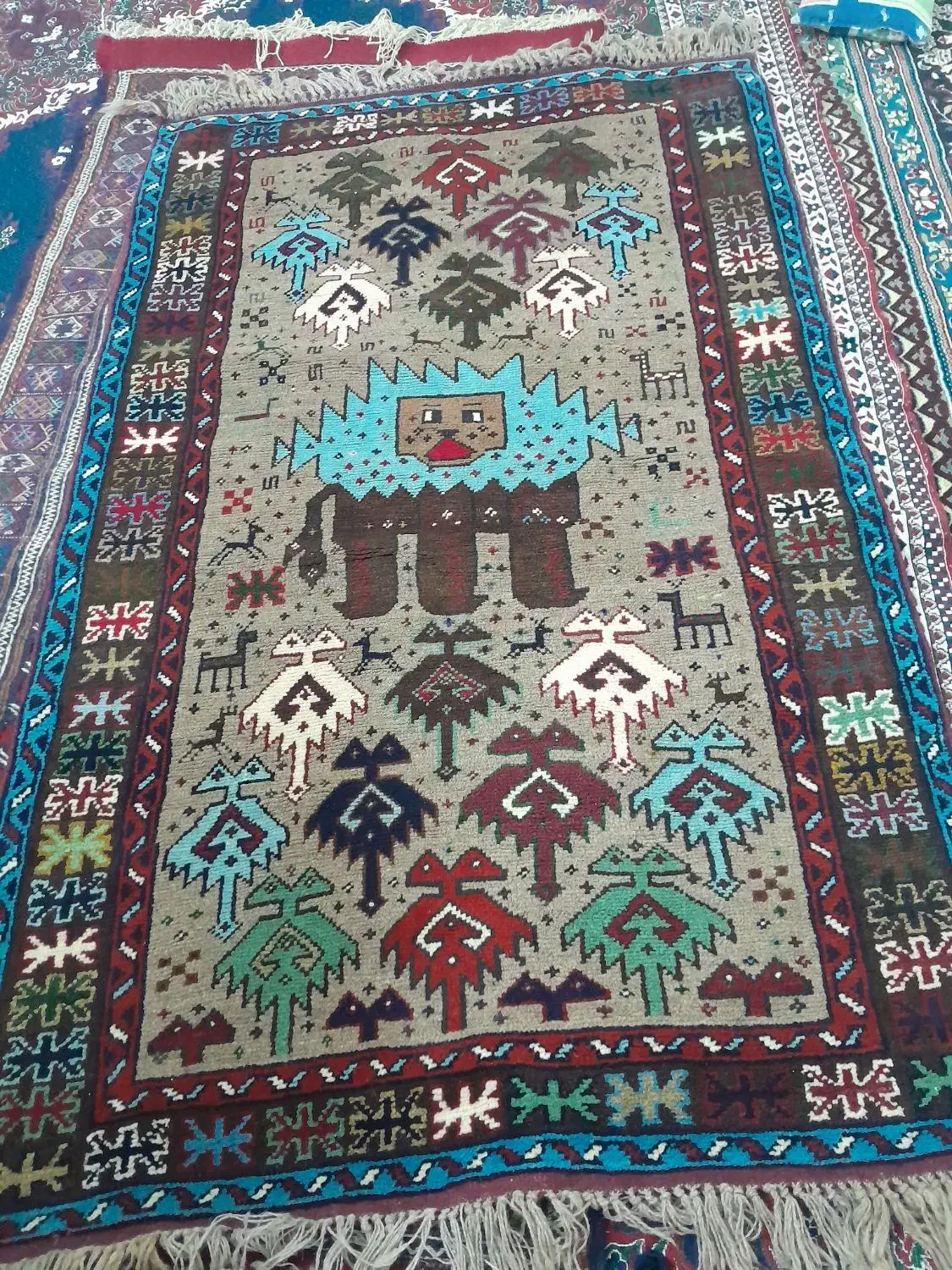 قالی دست باف نو|فرش|شیروان (خراسان), |دیوار