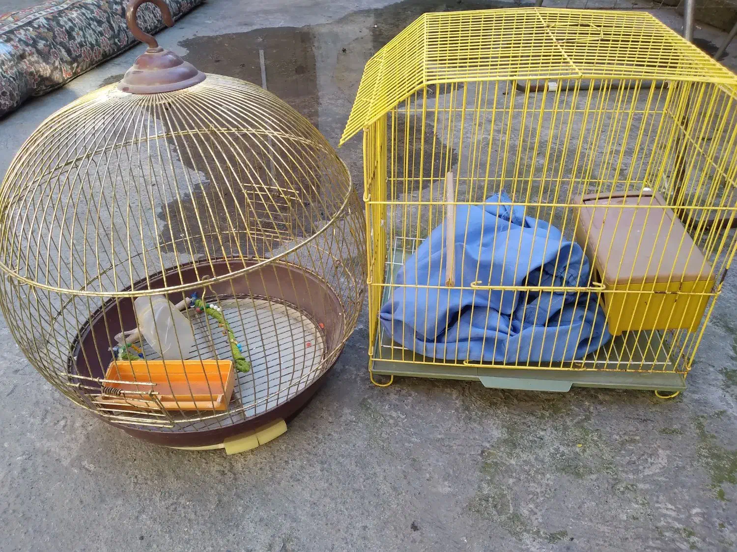 قفس پرنده|لوازم جانبی حیوانات|رشت, سلیمانداراب|دیوار