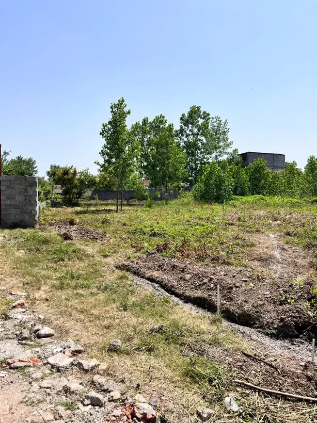 فروش زمین ۲۵۰ متری در فخب|فروش زمین و ملک کلنگی|رشت, فخب|دیوار