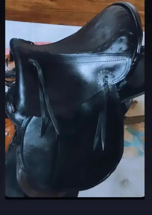 مبل میخوای فقط همین زین|اسب و تجهیزات اسب‌سواری|امامزاده عبدالله, |دیوار