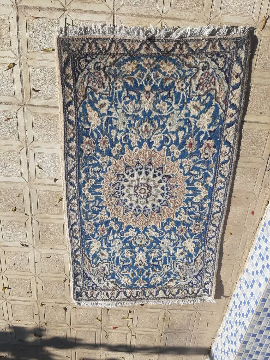 قالیچه دستباف|فرش|قرچک, میرزائی جنوبی|دیوار