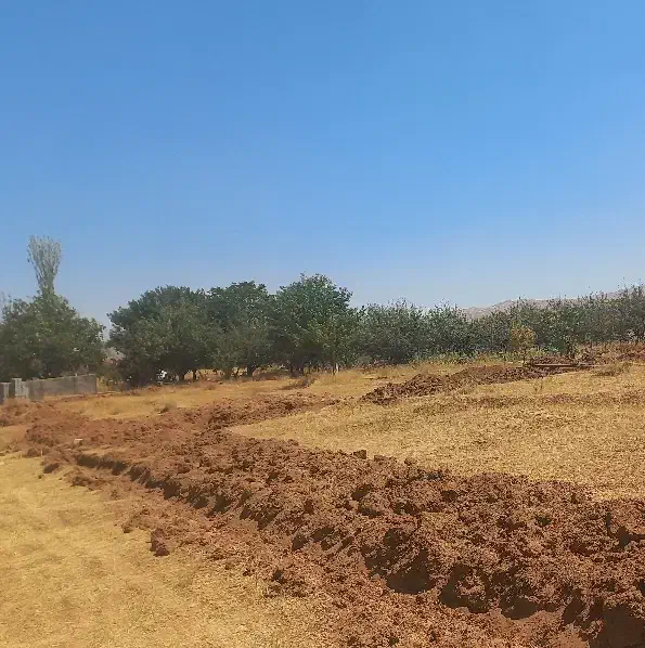 فروش زمین باغشهری ۱۰۰۰متری با آب (کودیان)|فروش زمین و ملک کلنگی|شیراز, گلدشت معالی‌آباد|دیوار