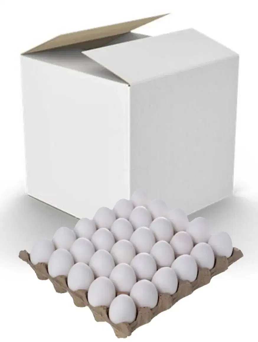 کارتن حمل جوجه و تخم مرغ|عمده‌فروشی|تهران, طرشت|دیوار