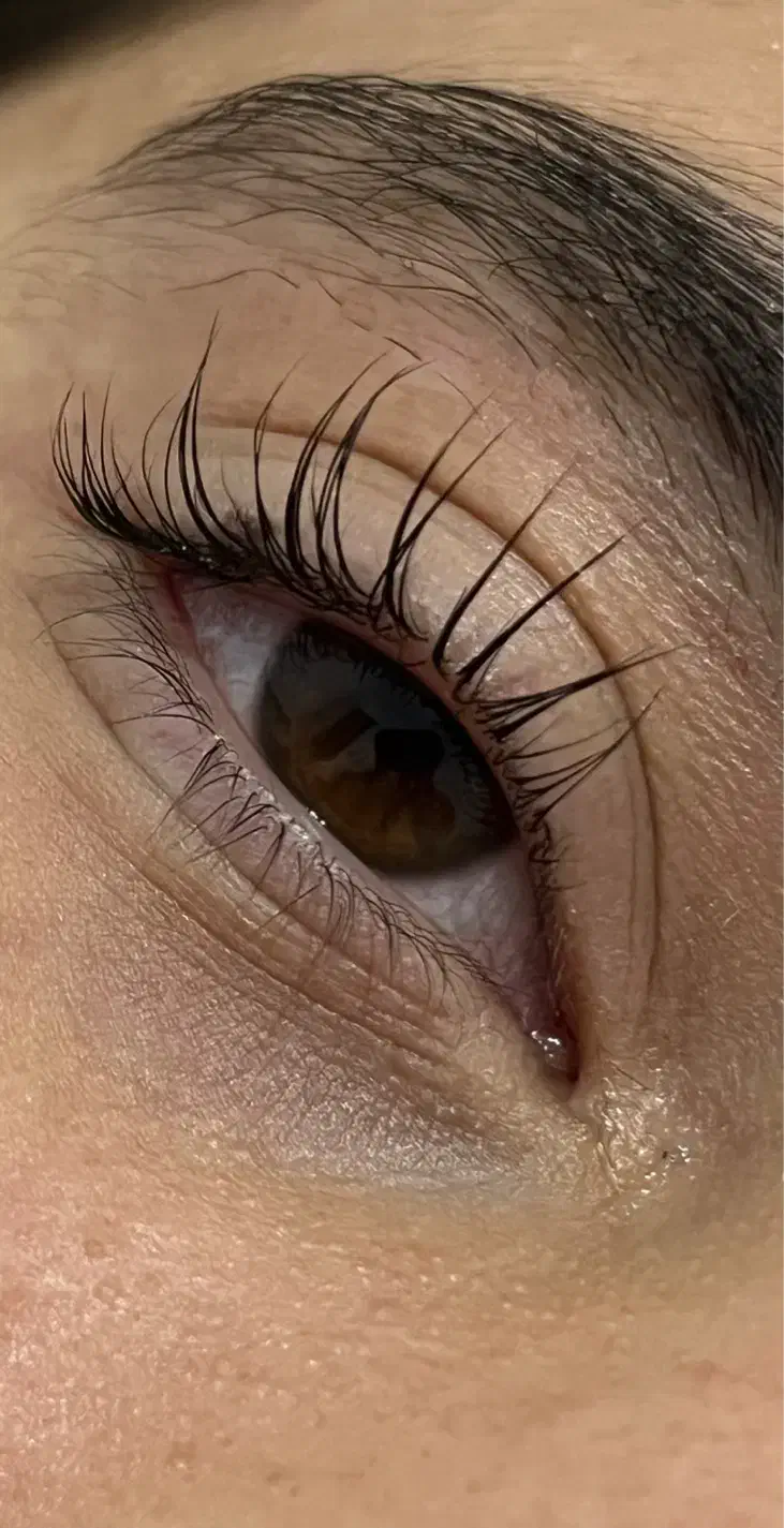 لیفت ولمینت مژه وابرو|خدمات آرایشگری و زیبایی|رباطکریم, رباطکریم|دیوار