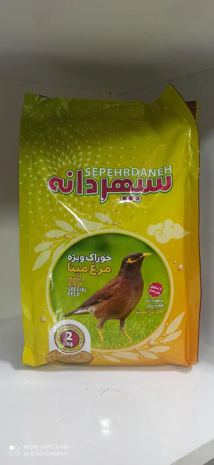 پخش قفس پرندگان طوطی کاسکو سهره قناری عروس هلندی|لوازم جانبی حیوانات|کرج, حیدرآباد|دیوار