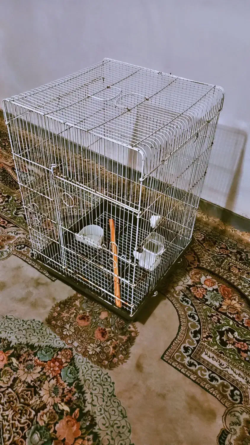 قفس کاسکویی بزرگ|لوازم جانبی حیوانات|بهشهر, |دیوار