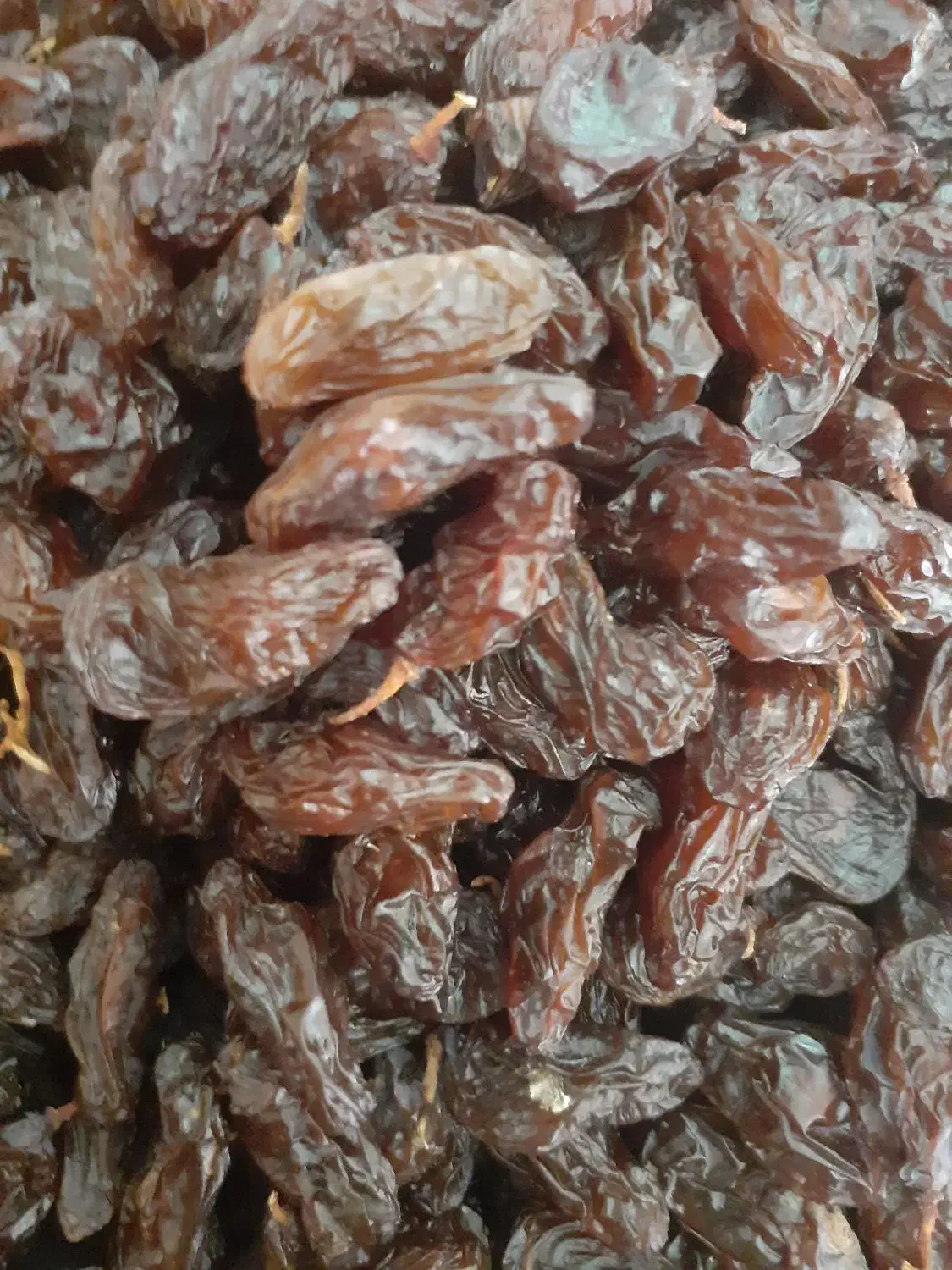 مویز درجه یک|خوردنی و آشامیدنی|شیراز, شهرک گلستان|دیوار