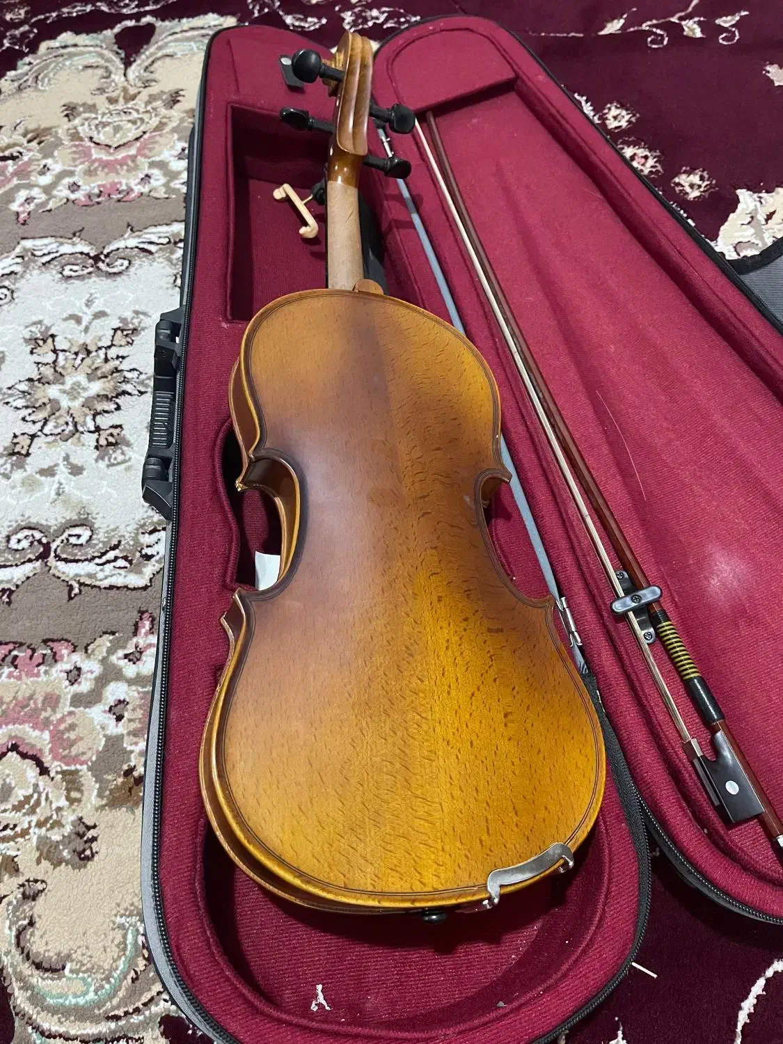 ویالن|ویولن|جهرم, |دیوار